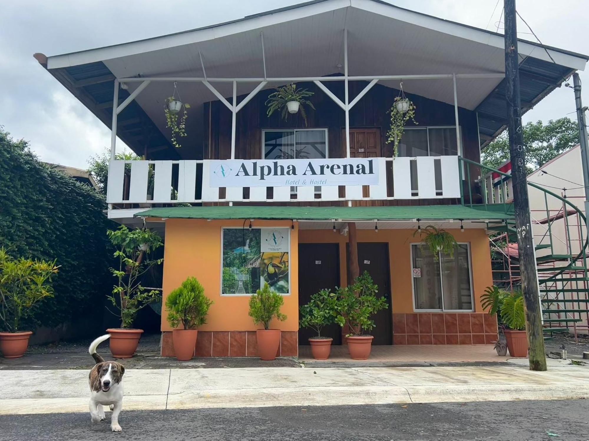 Alpha Arenal Hostel La Fortuna المظهر الخارجي الصورة