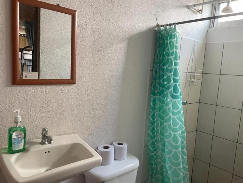 Alpha Arenal Hostel La Fortuna المظهر الخارجي الصورة